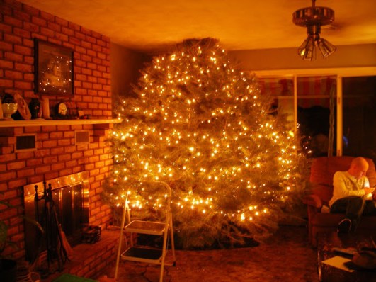 Image result for christmas tree too big for a house